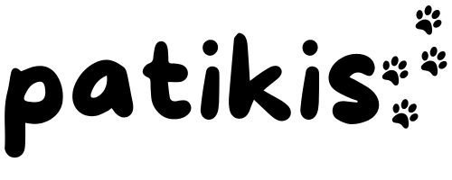 Patikis
